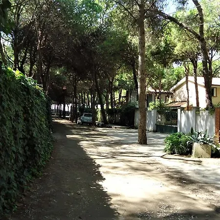 In Golem (Tirana)