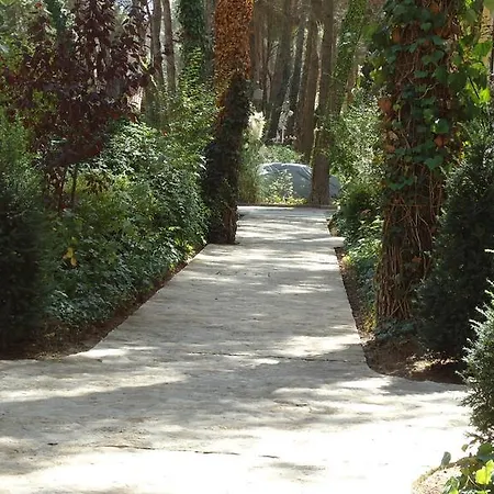 In Golem (Tirana)